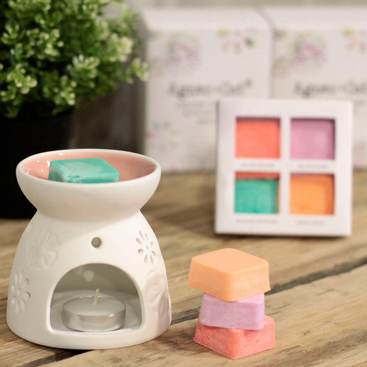 Agnes + Cat Wax Melter with Four Soy Wax Melts – Floral Ceramic Burner