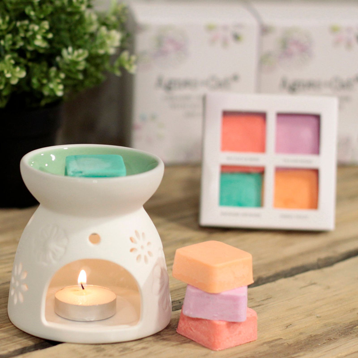 Agnes + Cat Wax Melter with Four Soy Wax Melts – Floral Ceramic Burner
