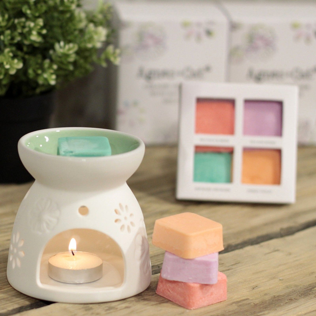 Agnes + Cat Wax Melter with Four Soy Wax Melts – Floral Ceramic Burner